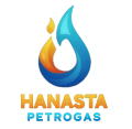 hanasta logo